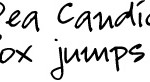 Free Handwriting Fonts â€” 600+ Free Fonts from Kevin & Amanda